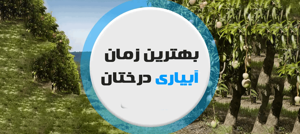 بهترین زمان آبیاری که کشاورزان نمی‌دانند