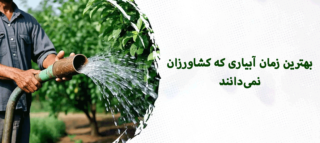 بهترین زمان آبیاری برای محصولات مختلف (محصولات زراعی، باغی، گلخانهای، سبزیجات)
